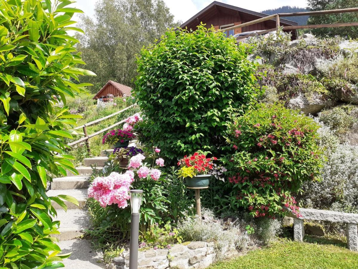 Apartment Namaste By Interhome Les Villards-sur-Thônes エクステリア 写真